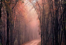 加兰25+8库里仅得11分 骑士大胜勇士豪取7连胜.