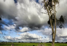 和郭晶晶分手,被国家队开除,再看田亮如今的现状,周继红没....